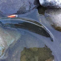 １投目で６６ｃｍ